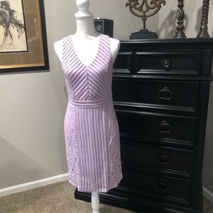 Signature Studio Lilac Lace Dress